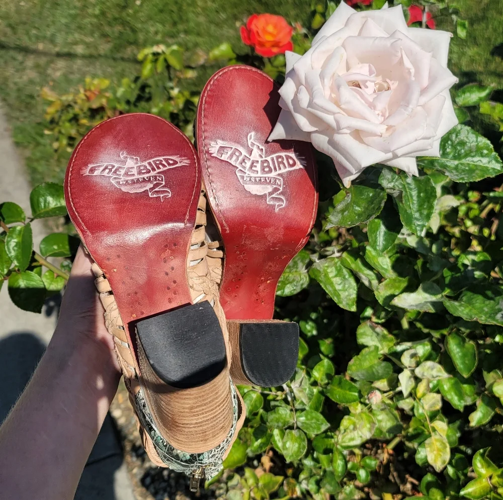 NWOT Freebird by Steven Bela Heel Booties Taupe Turquoise Snake Skin Size 9 - Picture 8 of 8